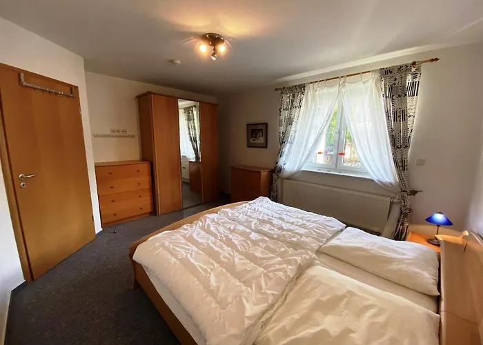 Seehund * Schonberger Strand